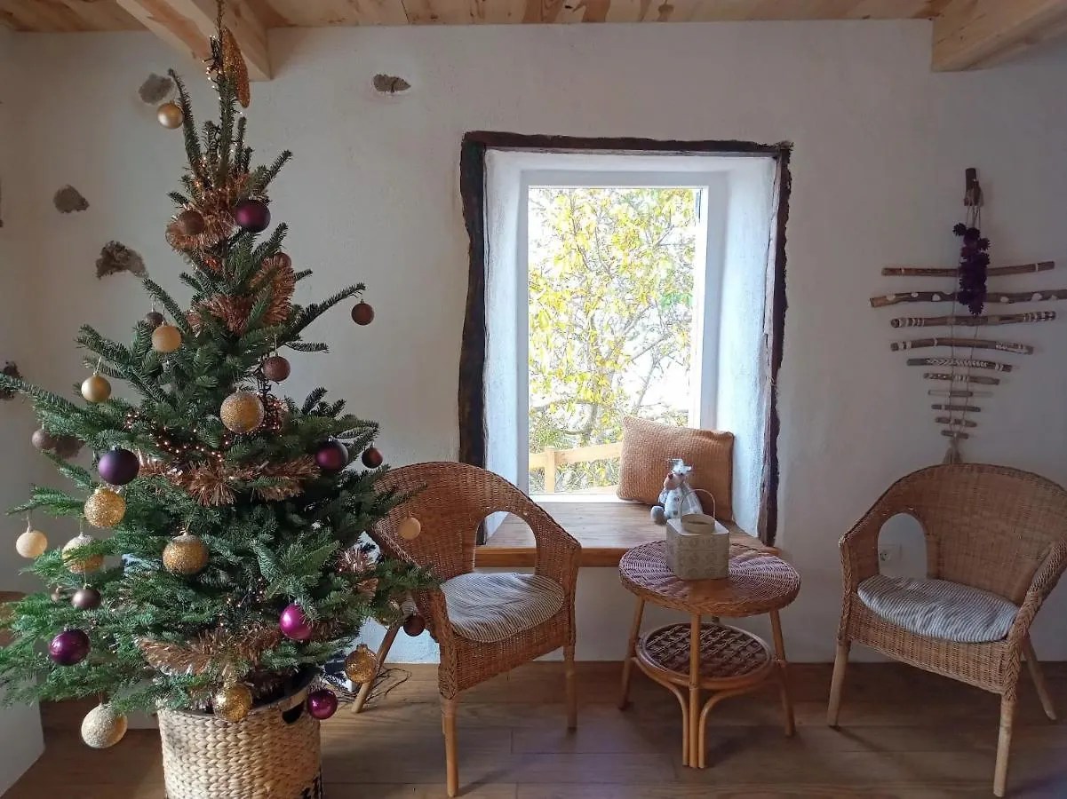 Casa La Jara Hostal Santa Cruz de Tenerife España