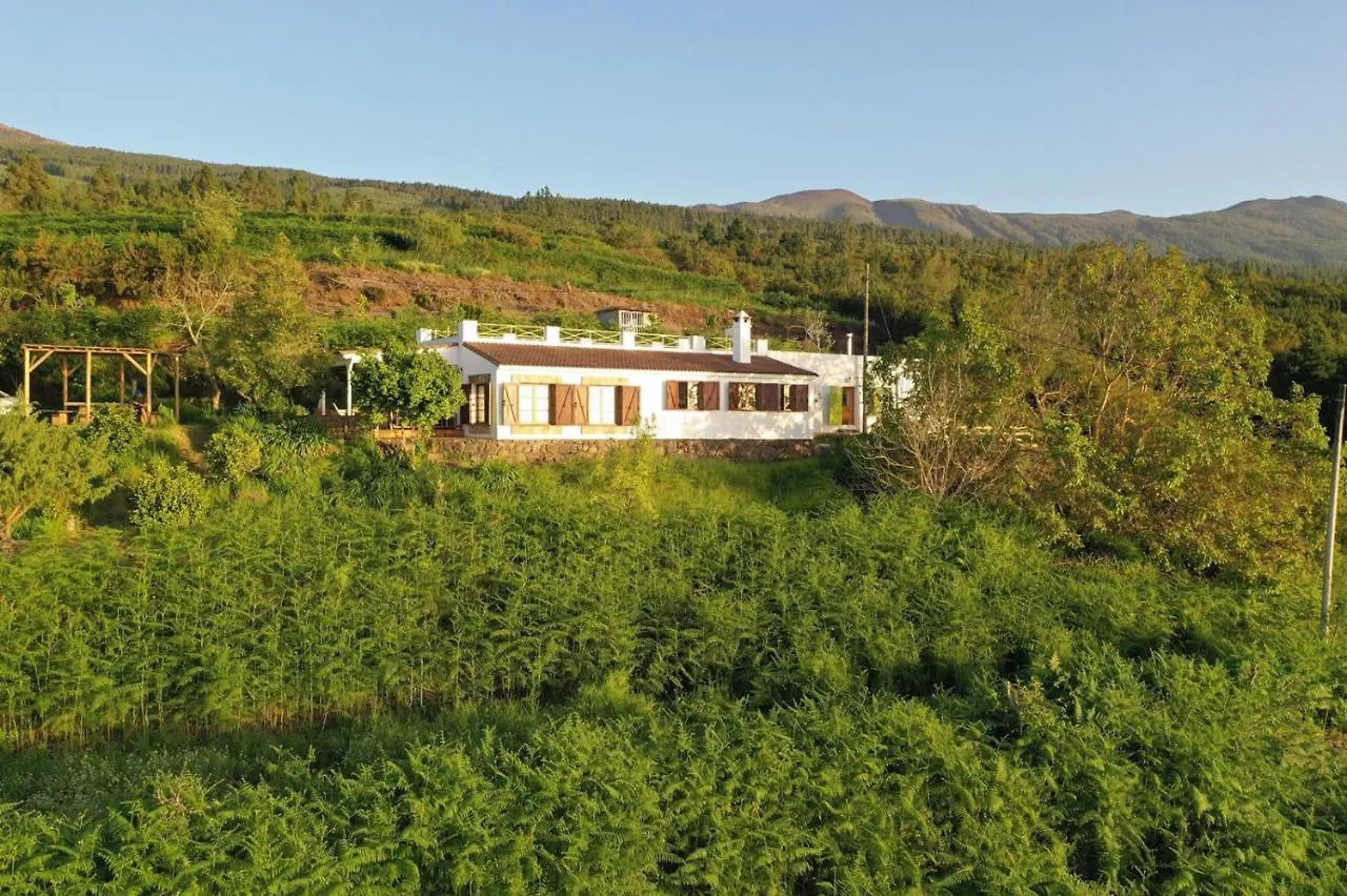 Casa La Jara Guest House Santa Cruz de Tenerife Spain