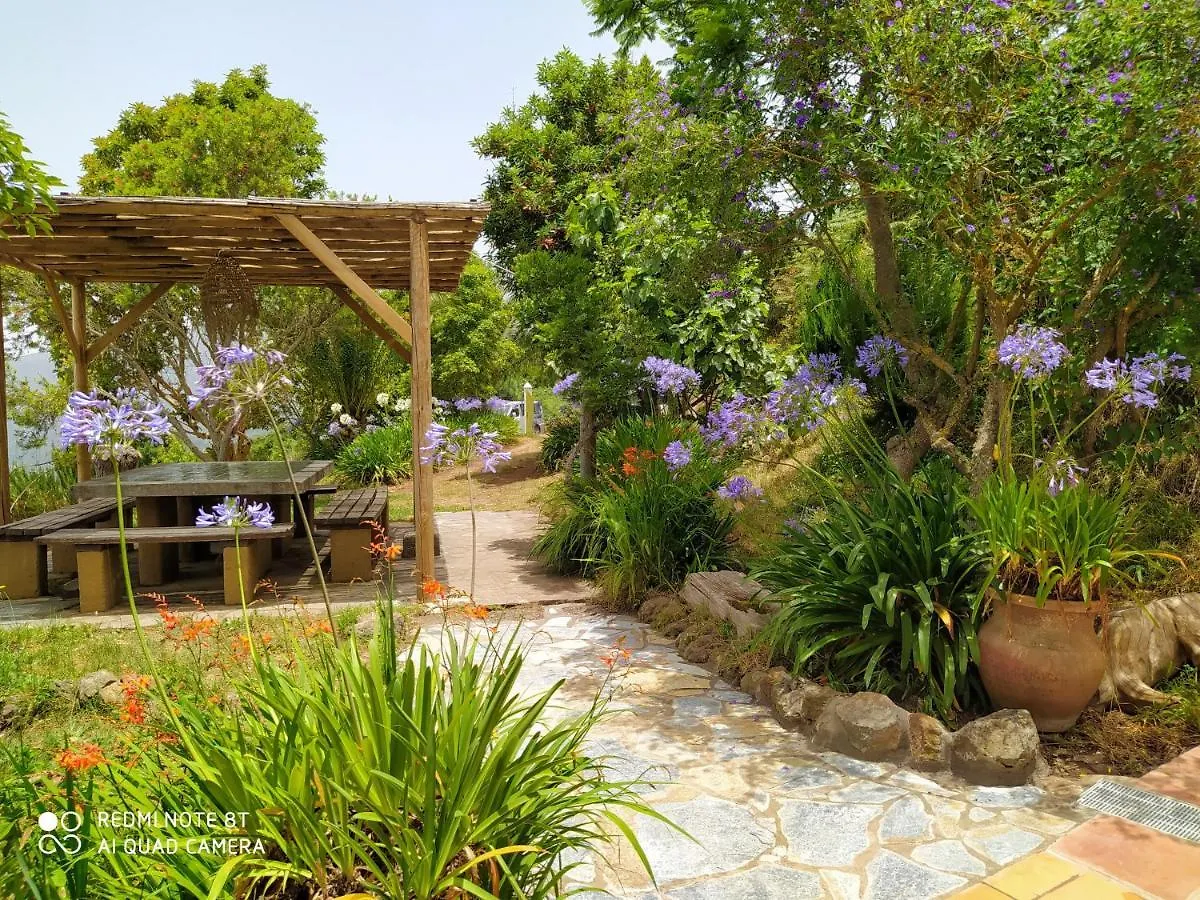 Casa La Jara Hostal Santa Cruz de Tenerife Casa rural