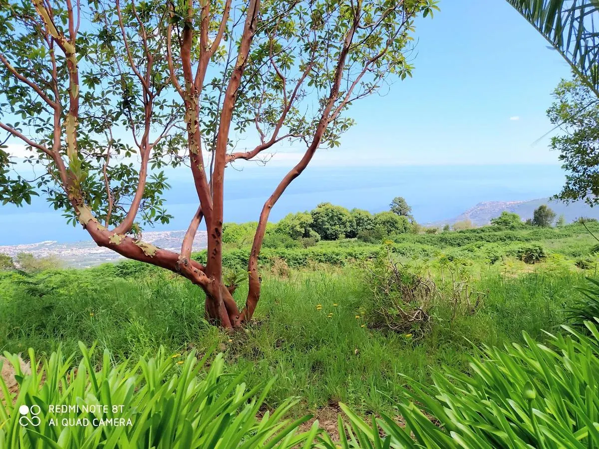 Casa La Jara Guest House Santa Cruz de Tenerife 0*,  Spain