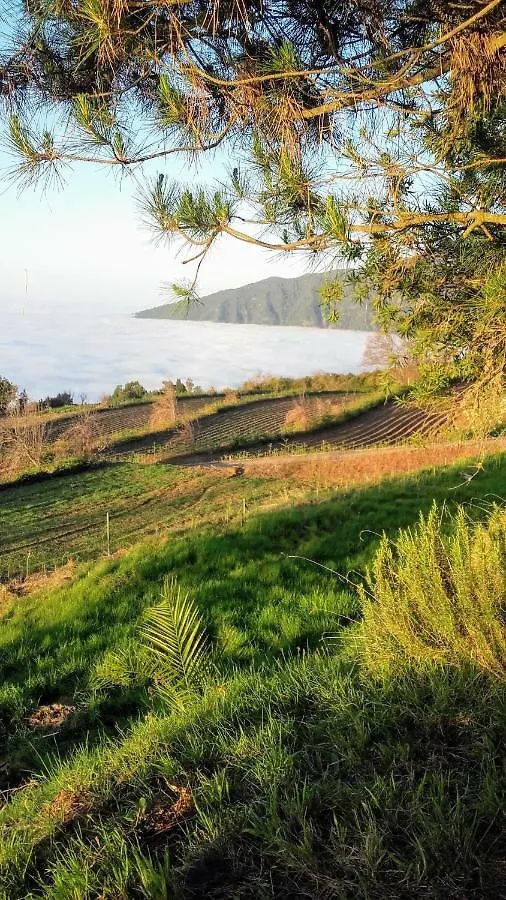 Country house Casa La Jara Guest House Santa Cruz de Tenerife