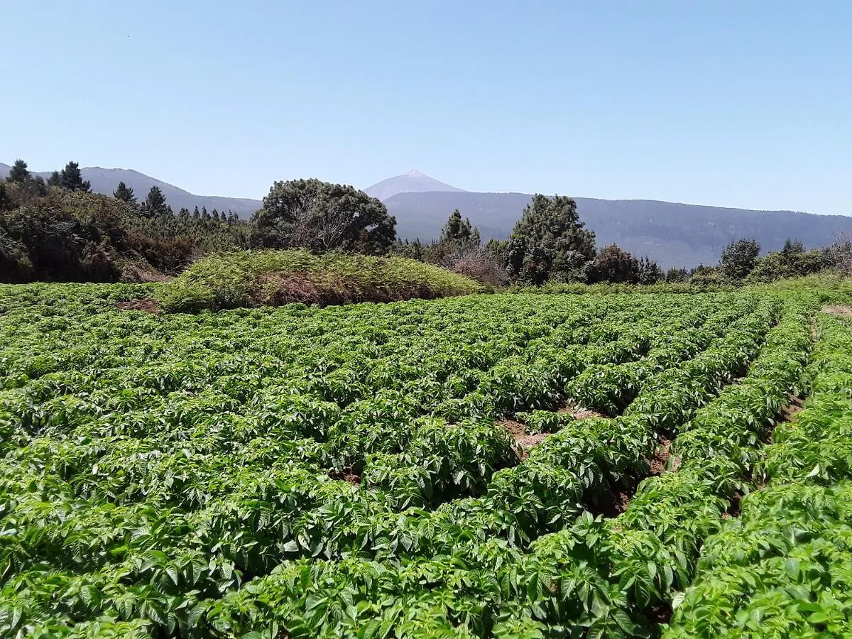 Country house Casa La Jara Guest House Santa Cruz de Tenerife